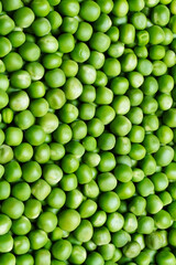 Green peas close up. Green peas texture. Healthy eating seeds of green vegetable pod. Full frame of green peas.