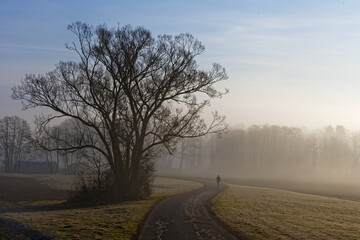 road in the fog