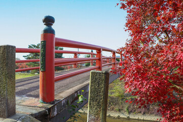 Naklejka premium 竜田川にかかる赤い橋と秋のもみじ