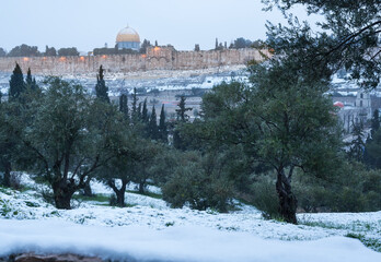 Jerusalem in the snow, beautiful view of the Temple mount and the Old City from the olive tree...