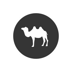 Camel silhouette white icon vector illustration isolated on white background
