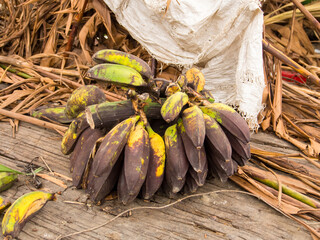 Bananas