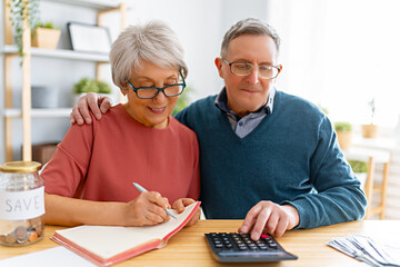 couple managing the family budget