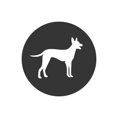 Dog white icon in flat style. Vector