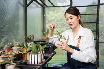 Beautiful cute female asian Gardeners are preparing small planters, use small tongs, pick up the stones to decorate the pots. Prepare the soil and pots for planting trees.