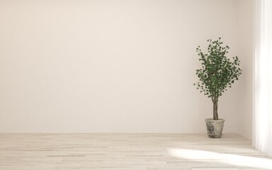 White empty room with big green tree. Scandinavian interior design. 3D illustration