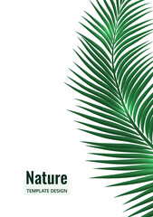 Abstract tropical style. Palm branch on a white background. Vector illustration