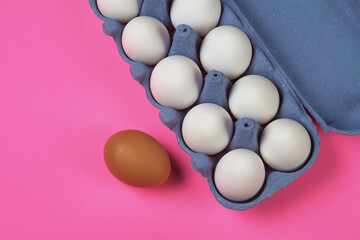 Brown egg and white eggs in a paper tray on a pink surface