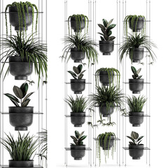 ornamental plants on shelves in a black pots, vertical garden