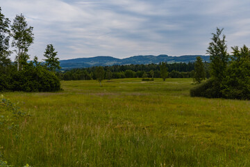 Big green fields of wheat trees and bushes in Kaczawskie mountains at cloudy day