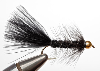 Versatile Fishing Fly that Imitates a Minnow; The Black Woolly Bugger