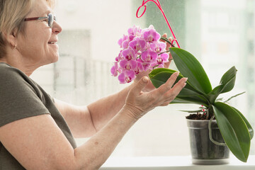 Happy mature woman enjoys a blooming orchid