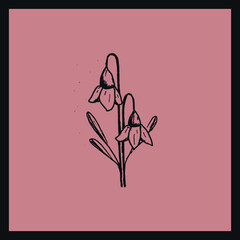 Hand drawn flowers on pink background. Inky botanical illustration.