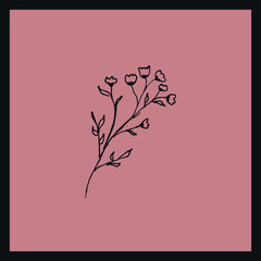 Hand drawn flowers on pink background. Inky botanical illustration.