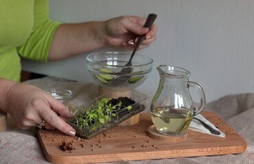 In the kitchen, women’s hands hold micro greens in a jar and a fork to prepare a healthy salad, there are also spices and olia on the table
