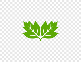 Green leaf, Eco icon on transparent background. Vector illustration.