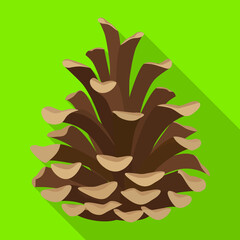 Pineof cone vector icon.Flat vector icon isolated on white background pine of cone.