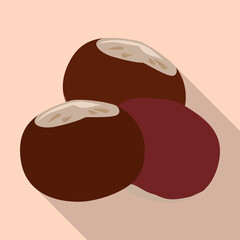 Chestnut vector icon.Flat vector icon isolated on white background chestnut.