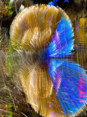 multicolored shapes on an abstract background