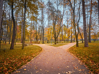 Fototapeta premium Alley in the autumn park with colorful trees.
