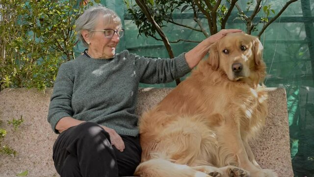 donna anziana carezza e gioca con un cane