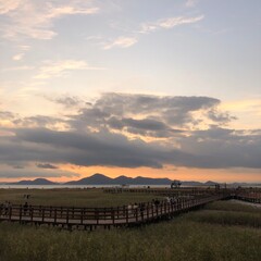 sunset in the field