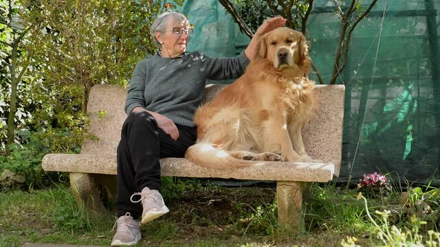 donna anziana carezza e gioca con un cane