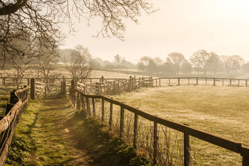 Cowdray Ruins