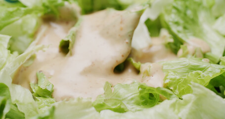 Fresh lettuce salad with sesame sauce
