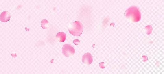Rose Petals Falling Confetti. Blooming Cosmetics Ad Noble Floral