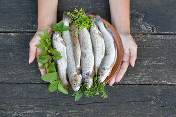 Full plate of river trout in girl's hands