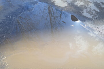 spring puddle covered with sunlight