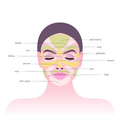 Skin health. Areas on the face and main biological points. The areas of the face are responsible for the internal organs. Signs of various diseases on the face. Close-up of the girl's face. 