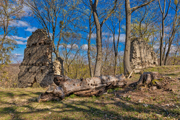 Burgruine Stecklenburg bei Stecklenberg im Harz