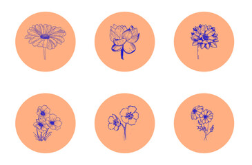 Six isolated vector icons for social media story highlight covers. Various botanical hand drawn illustrations on pink background.