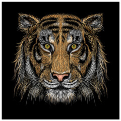 Tiger. Color, graphic, hand-drawn portrait of a tiger looking ahead on a black background.
