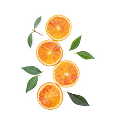fresh various orange slices isolated on white