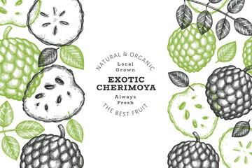 Hand drawn sketch style cherimoya banner. Organic fresh fruit vector illustration. Engraved style botanical design template.