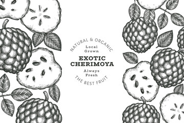 Hand drawn sketch style cherimoya banner. Organic fresh fruit vector illustration. Engraved style botanical design template.