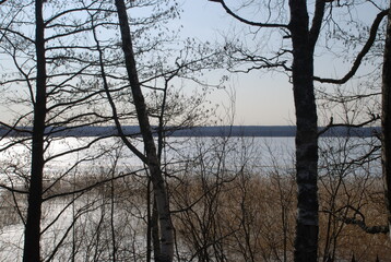 Spill of the Vuoksa river view through the trees. Spring day open water of the river, trees grow on the bank near the bank in the ice there is a reed. On the opposite bank there is a dark forest wall.