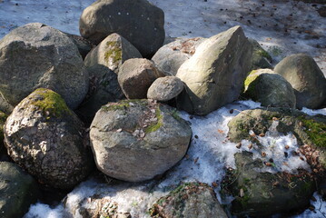 A pile of large stones partially covered with snow. Large stones are collected in a heap. Round stones overgrown with green moss, melted snow lies around the stones and on some of them.