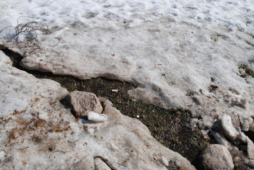 A spring brook cut a path through the snow. Melting dirty white snow, exposed stones, branches, needles. A stream with melted water made its way through the snow.