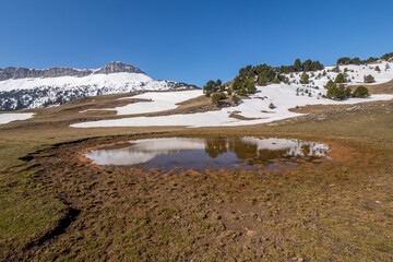 Reflections of the Montagnette (Vercors) in a small ephemeral pond