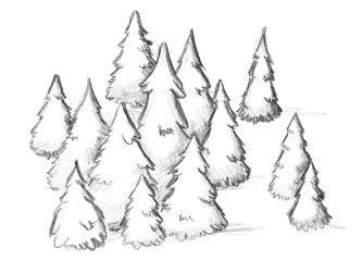 Hand pencil drawn pine forest. Fantasy map creator.