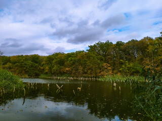Obraz na płótnie Canvas lake in the park