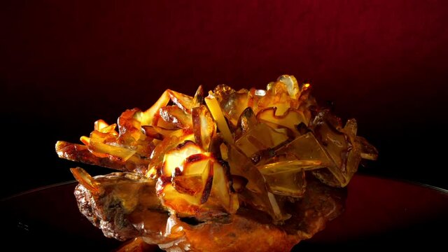 Shiny amber desert rose formations of crystal clusters with white and yellow elements presented at exhibition rotate under red light macro. Concept jewellery
