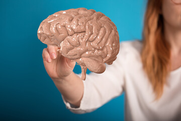 creativity  brain network neurogen digital iq