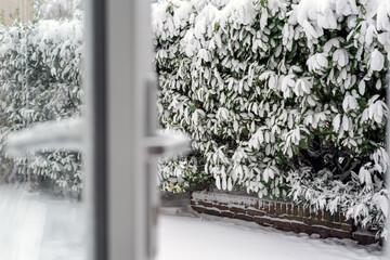The view through the open door to the backyard covered with snow.