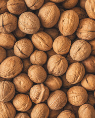 walnuts in shell, top view