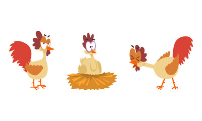 Funny Big Eyed Hen Set, Farm Bird Cartoon Character Cartoon Vector Illustration